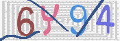 画像に表示された文字を入力して下さい
