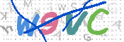 画像に表示された文字を入力して下さい