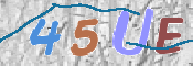 画像に表示された文字を入力して下さい