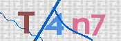画像に表示された文字を入力して下さい