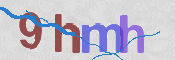 画像に表示された文字を入力して下さい