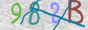 画像に表示された文字を入力して下さい