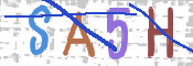 画像に表示された文字を入力して下さい