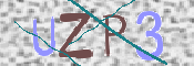 画像に表示された文字を入力して下さい