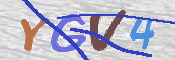 画像に表示された文字を入力して下さい