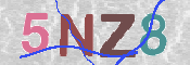 画像に表示された文字を入力して下さい