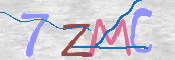 画像に表示された文字を入力して下さい