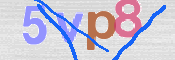 画像に表示された文字を入力して下さい