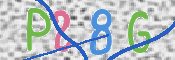 画像に表示された文字を入力して下さい