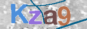 画像に表示された文字を入力して下さい