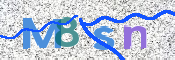 画像に表示された文字を入力して下さい