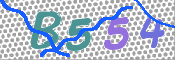 画像に表示された文字を入力して下さい