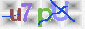 画像に表示された文字を入力して下さい