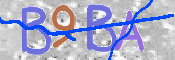 画像に表示された文字を入力して下さい