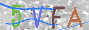 画像に表示された文字を入力して下さい