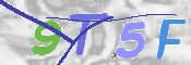 画像に表示された文字を入力して下さい