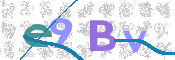画像に表示された文字を入力して下さい