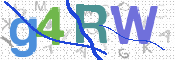 画像に表示された文字を入力して下さい