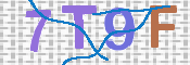画像に表示された文字を入力して下さい