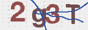 画像に表示された文字を入力して下さい
