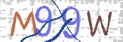 画像に表示された文字を入力して下さい