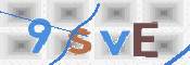 画像に表示された文字を入力して下さい