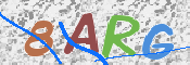 画像に表示された文字を入力して下さい