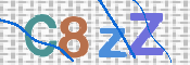 画像に表示された文字を入力して下さい