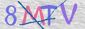画像に表示された文字を入力して下さい