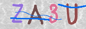 画像に表示された文字を入力して下さい