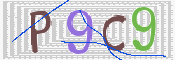 画像に表示された文字を入力して下さい