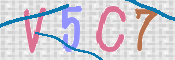 画像に表示された文字を入力して下さい
