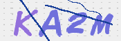 画像に表示された文字を入力して下さい