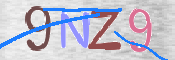 画像に表示された文字を入力して下さい