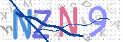 画像に表示された文字を入力して下さい