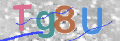 画像に表示された文字を入力して下さい