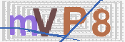 画像に表示された文字を入力して下さい