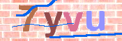 画像に表示された文字を入力して下さい