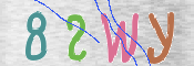 画像に表示された文字を入力して下さい