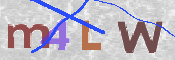 画像に表示された文字を入力して下さい