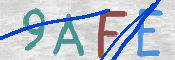 画像に表示された文字を入力して下さい