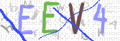 画像に表示された文字を入力して下さい