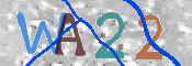 画像に表示された文字を入力して下さい