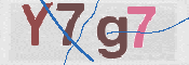 画像に表示された文字を入力して下さい