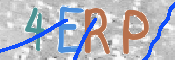画像に表示された文字を入力して下さい