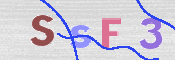 画像に表示された文字を入力して下さい