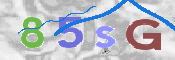 画像に表示された文字を入力して下さい
