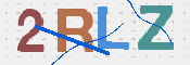 画像に表示された文字を入力して下さい