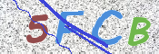 画像に表示された文字を入力して下さい
