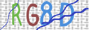画像に表示された文字を入力して下さい